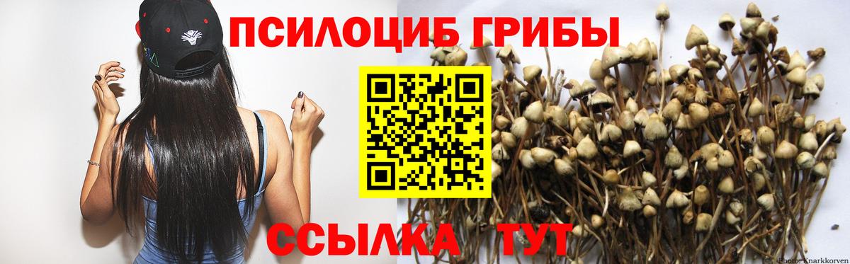 Галлюциногенные грибы мухоморы  Вход с VPN  Донской  купить наркотики сайты  Галлюциногенные грибы Cubensis 