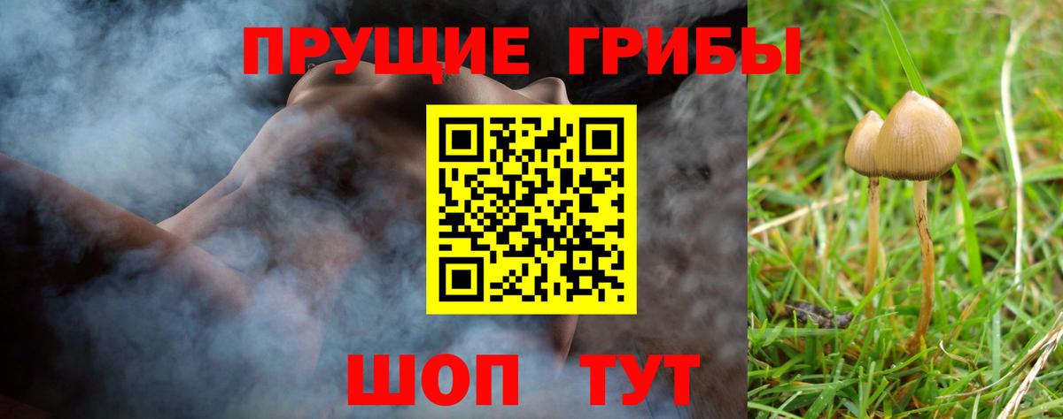 Псилоцибиновые грибы Cubensis Донской